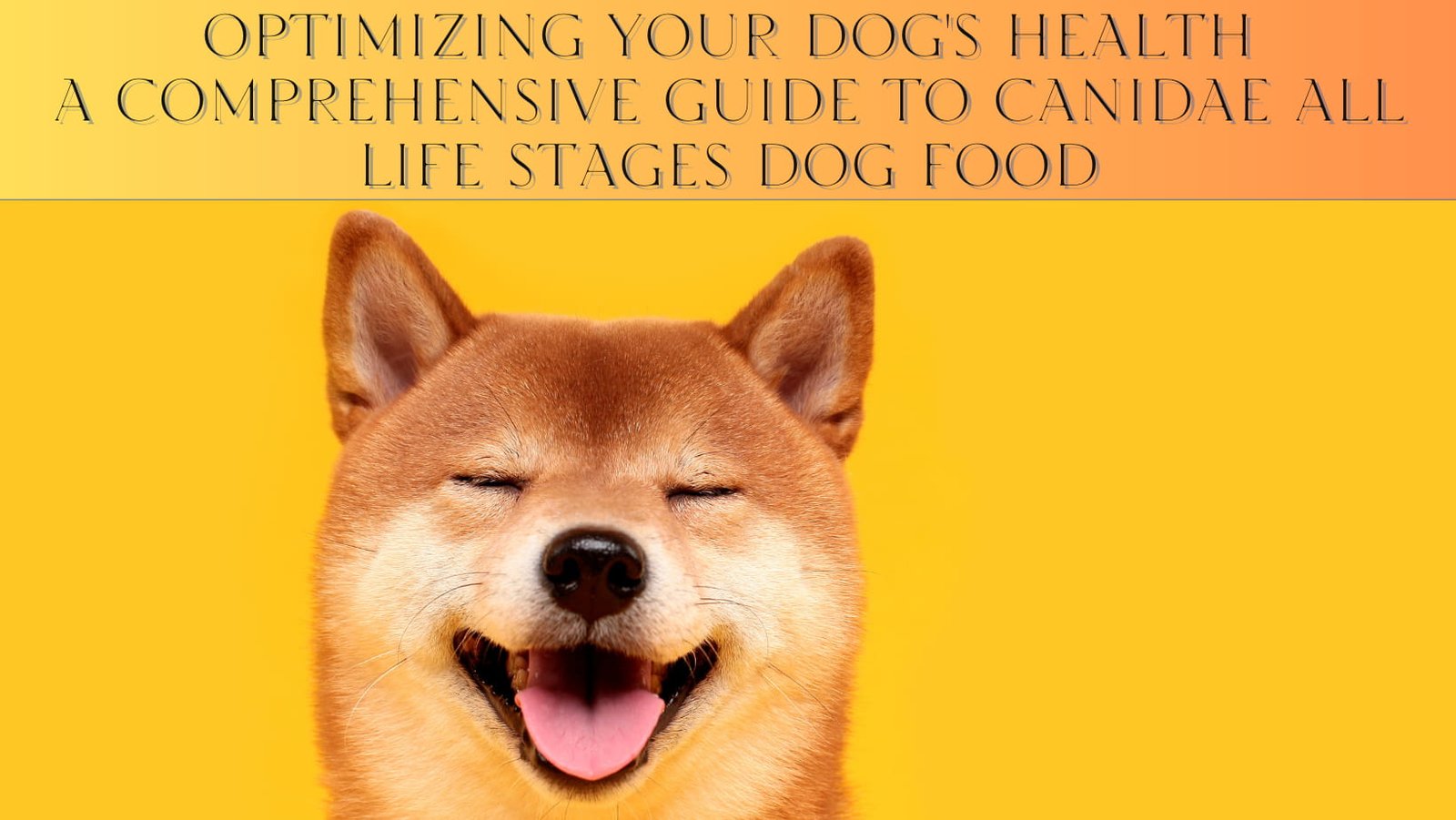 canidae all life stages dog food reviews
