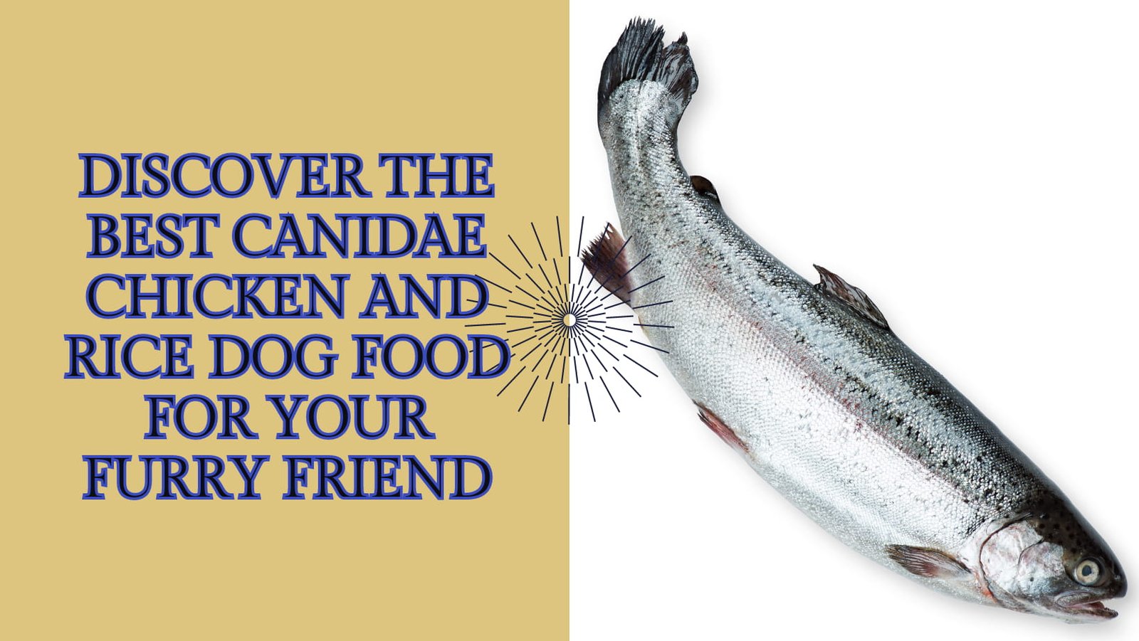 canidae chicken and rice dog food