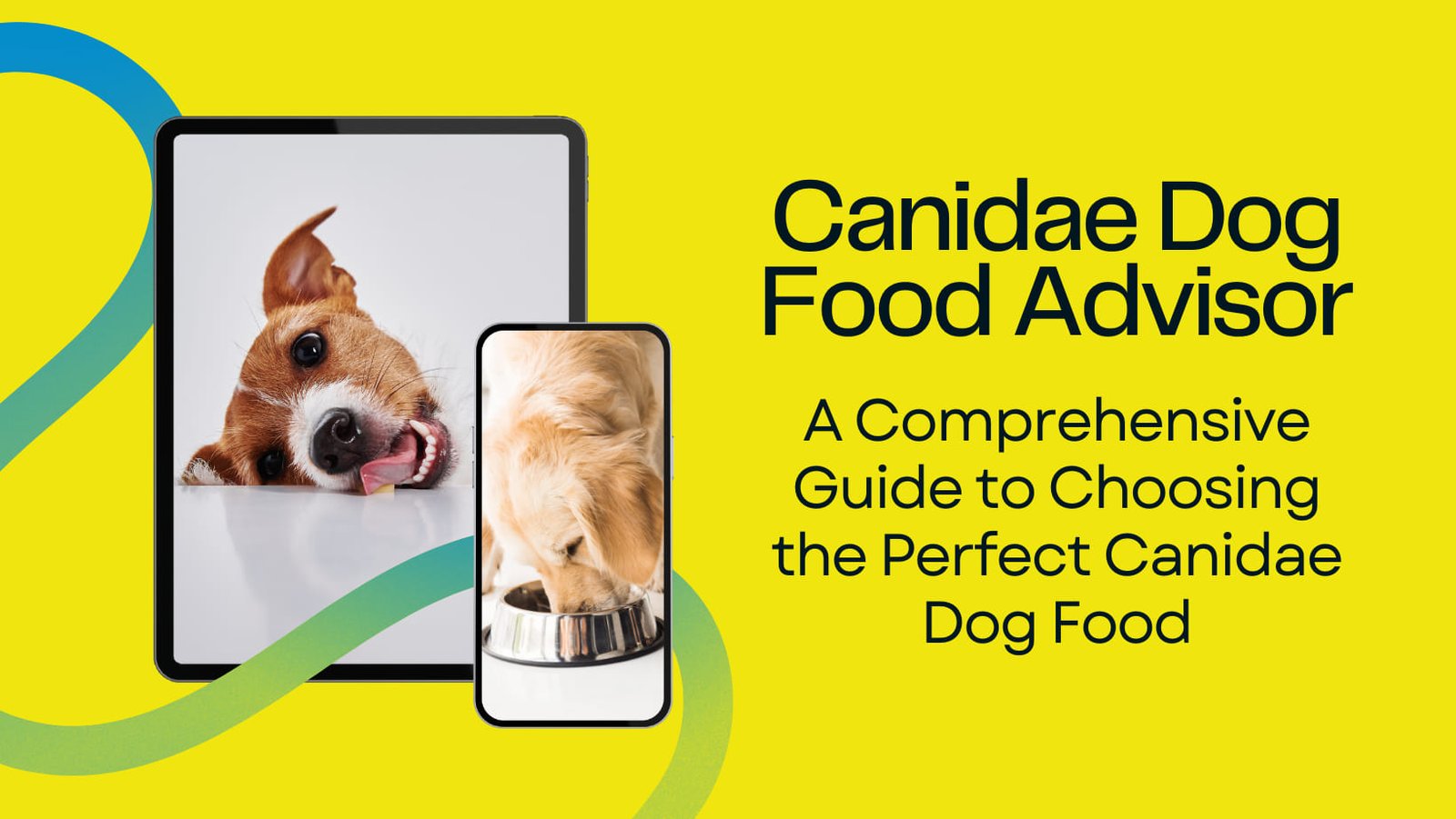 canidae dog food advisor