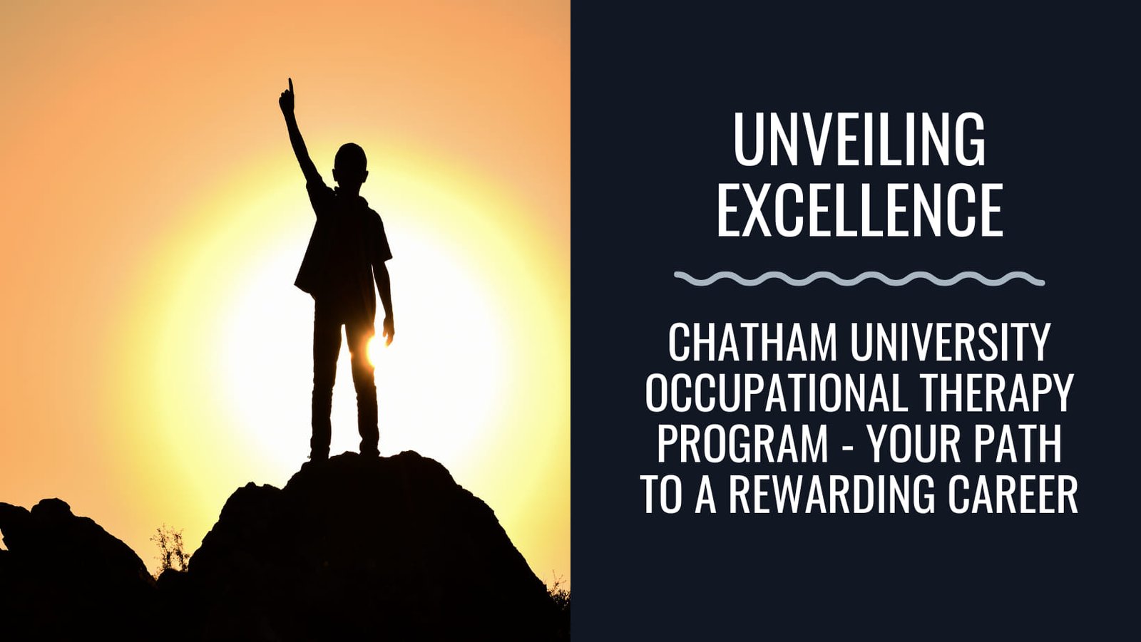 chatham university occupational therapy program